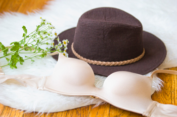 why are some bras so expensive?